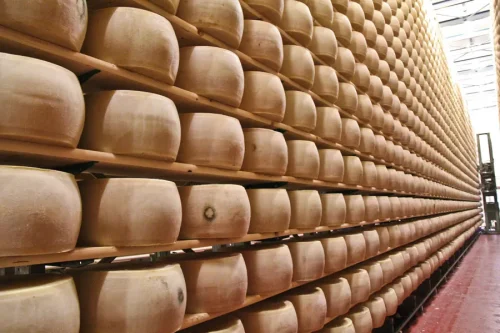 Albalat Società Cooperativa Agricola
