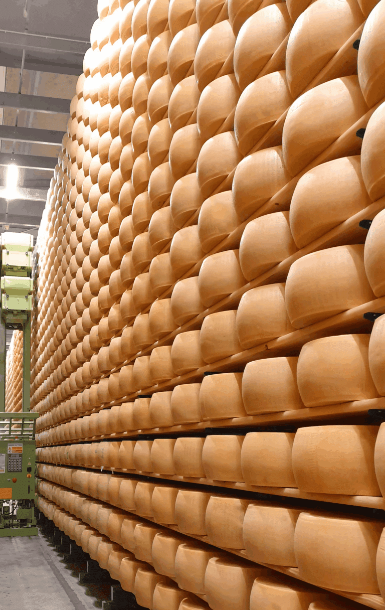 Forme di formaggio stoccato a Modena Terminal