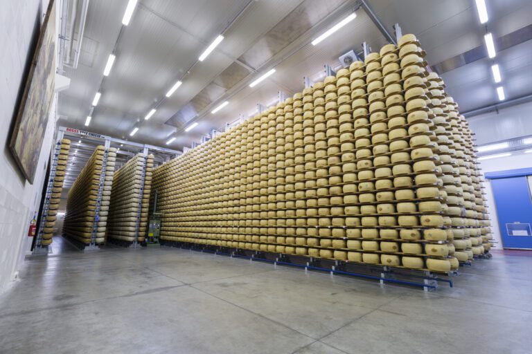 Tree Cheese ROSSS con numerose forme di formaggio stoccato in magazzino di Modena Terminal