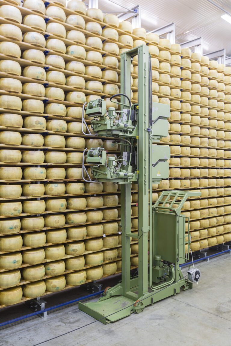 Tree Cheese ROSSS con numerose forme di formaggio stoccato